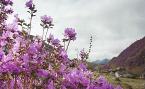 � ��������� ���� ������� �������� ��������� ����������